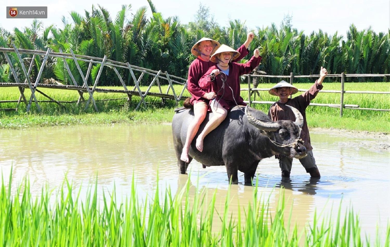 Tam Coc Sunshine Hostel Vu Lam Kültér fotó